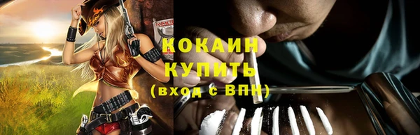 прущие грибы Балабаново