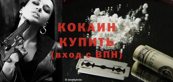 ГАЛЛЮЦИНОГЕННЫЕ ГРИБЫ Аркадак