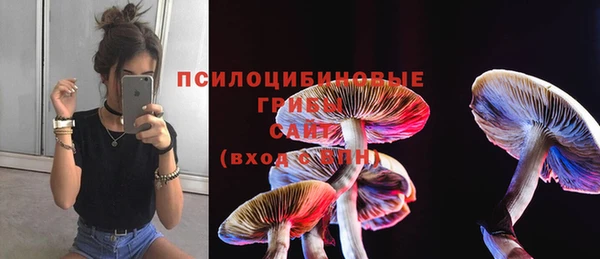 ГАЛЛЮЦИНОГЕННЫЕ ГРИБЫ Аркадак