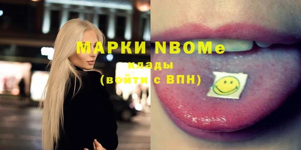ГАЛЛЮЦИНОГЕННЫЕ ГРИБЫ Аркадак