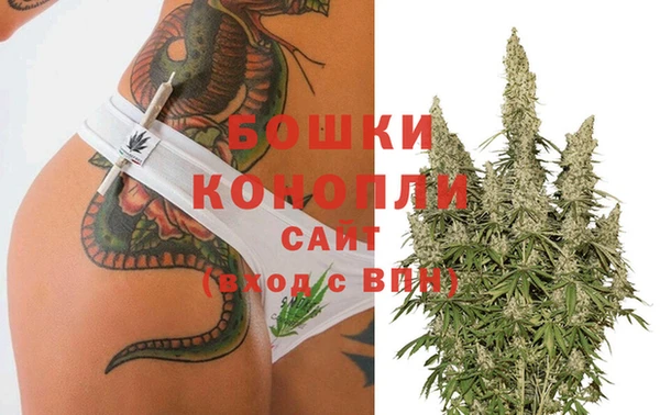 apvp Арсеньев