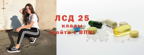 прущие грибы Балабаново