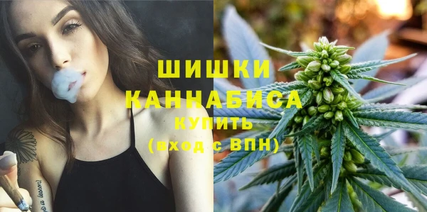 ГАЛЛЮЦИНОГЕННЫЕ ГРИБЫ Аркадак