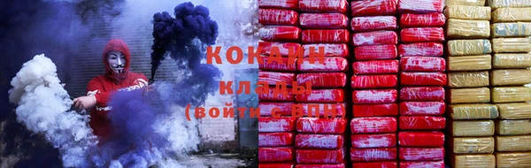 ГАЛЛЮЦИНОГЕННЫЕ ГРИБЫ Аркадак
