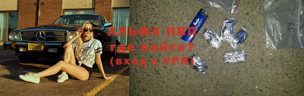 прущие грибы Балабаново